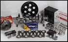 496-60-16cc-2p .060 Bbc Wiseco Dome Assembly Bore Chevy 2pc Pistons Rms 4.310 496 16cc