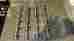 106360 Comp Cams 4.6l 5.4l Dohc 4v Xtreme Energy Camshafts Supercharged Nitrous