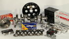 12.5cc Assembly Bbc 2pc Wiseco Rms Chevy Pistons 555 Bore Forged 4.560
