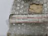 121-031-04-51 1210310451 Genuine Ring Crankshaft