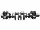 3418898 2830477 Factory Diesel New K19 Crankshaft