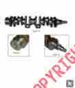 125-3005 320cl 1253005 Ctp Costex Tractor Parts Caterpillar 3066 320b 320l Engine Crankshaft