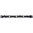 3896962 Chevrolet Performance Hydraulic Flat Tappet Camshaft 099998039994