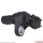 3c3z-6c315-aa Motorcraft Brand New 6.0