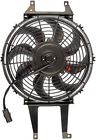 621-300 Dorman Harmonic Balancer 019495242925