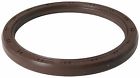 00027067495402 67729 Victor Reinz Rear Engine Crankshaft Seal