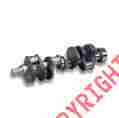 Af111dn Lunati Signature Series Crankshafts