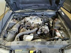 309-00588 Ford Harmonic Balancer 6-238 3.9l Fits 00-04 Mustang 315659