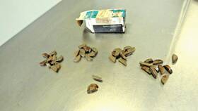 124549 Gm Nos Oem Genuine 43 Key Woodruff No. 9 Gear To Crankshaft