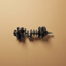 4663852ad Jeep Jk Wrangler 3.8l Engine Crankshaft Crank 2007-2011