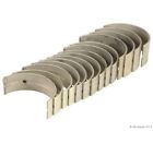 W0133-1613892 Glyco New Main Bearing