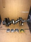 Vg30e X230 Oe Maxima Crankshaft New Bearings