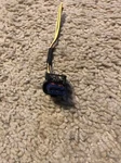 Turbocharger Waste Gate Actuator Connector-ecoboost Motorcraft WPT-1202 Oem. Fixed Price $20.00.