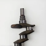 Crankshaft Standard 17-19 Ford Escape 1.5 DS7G6303AC Turbo. Fixed Price $200.00.