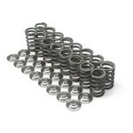 Brian Crower 85LB Single Valve Springs Ti Retainers Fits Toyota 3SGTE MR2 Celica. Fixed Price $300.00.