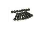 Datsun L20B Cylinder Arp Rod Bolts New 1242. Fixed Price $59.99.