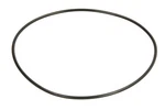 For Motori VM46320256 Seal, Crankshaft Oil. Fixed Price $11.89.