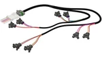 Fuel Injector Harness EV1 Type For Holley Efi Replaces 558-200. Fixed Price $161.25.