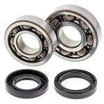 Balls Crankshaft Bearings Yamaha Blaster 1988-2006 24-1043. Fixed Price $104.76.