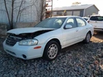 Harmonic Balancer Fits 95-01 Maxima 2023083. Fixed Price $51.91.
