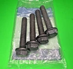 Pack 2005-2011 Genuine Oem Ford Crankshaft Pulley Bolt E7RY-6A340-B. Fixed Price $29.95.