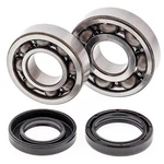 Balls 24-1043 Crank Shaft Bearing Kit For Yamaha Blaster YFS200 1988-2006. Fixed Price $103.71.