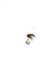 Bosch 0281002662 Crankshaft Rpm Sensor ,51271207038 ,55354601 ,93179850 ,623810. Fixed Price $19.99.