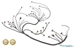 Wiring Specialties Engine Tranny Combo Harness For R33 RB26DETT Into S14 240SX. Fixed Price $844.55.