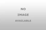 National 711067 Oil Seal. Fixed Price $21.01.