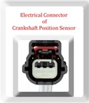 Connector Of Crankshaft Position Sensor PC920 Fits: Gm Saab Saturn Suzuki 10-19. Fixed Price $15.49.