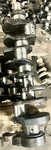 Chevrolet Bbc 6.0L 366 Piece Cast Crankshaft Gen + Vi 1991-1996 # 10114187. Fixed Price $224.99.