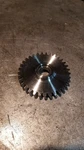 97226137 Engine Oil Pump Gear, LB7/LLY/LBZ/LMM/LML. Fixed Price $25.00.