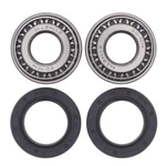 Balls Front Wheel Bearing Kit For 2004-2005 Harley V-rod Anodized 25-1394. Fixed Price $40.08.