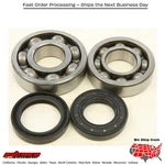 Balls Crankshaft Bearing/seal Kit Yamaha YFS200 Blaster 1988-2006. Fixed Price $103.71.