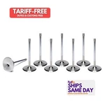 Ferrea FERF6279-8 Steel Intake Valve 2.165 Fits Gm Ls-series Pack Of. Fixed Price $328.83.
