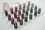 Bmw Valve Springs - M57N2 Diesel Engines 330D 530D 335D 535D Njperformance. Fixed Price $270.00.