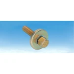 Milodon Harmonic Balancer Bolt 84530; Hex 7/16-20 In. Gold Iridite For Sbc. Fixed Price $22.00.