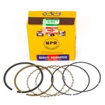 Npr Piston With Ring Set Standard 10-016-0. Fixed Price $150.00.