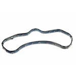 12627520 Ac Delco Engine Crankshaft Seal Retainer Gasket Rear For Chevy Savana. Fixed Price $23.71.
