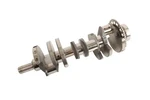 Genuine Gm (s)crankshaft 19431871. Fixed Price $827.37.