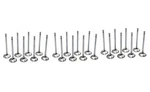 Brian Crower Stainless Steel Valves For Nissan 350Z Infiniti G35 VQ35DE VQ35HR. Fixed Price $590.00.