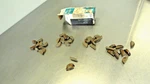 Nos Oem Gm Genuine (43) 124549 Key Woodruff No. Gear To Crankshaft. Fixed Price $15.00.