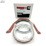 Cummins Rear Main Crankshaft Oil Seal & Gasket Kit 3925529 For 5.9L 12V 24V. Fixed Price $19.90.