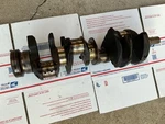 Crankshaft Standard 88-93 Ford F-150 F-250 F-350 Bronco 5.8. Fixed Price $149.99.